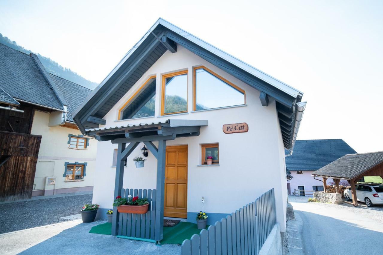 Guest House Pr' Cut Zirovnica Exterior photo